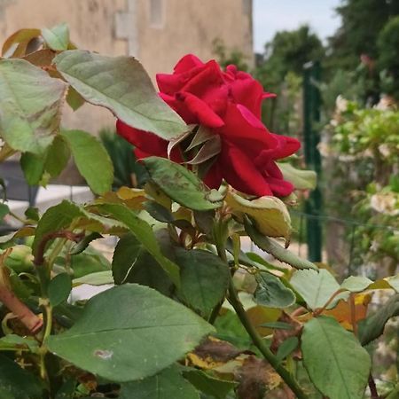 Gite Aux Vieux Bois Lunas  Buitenkant foto