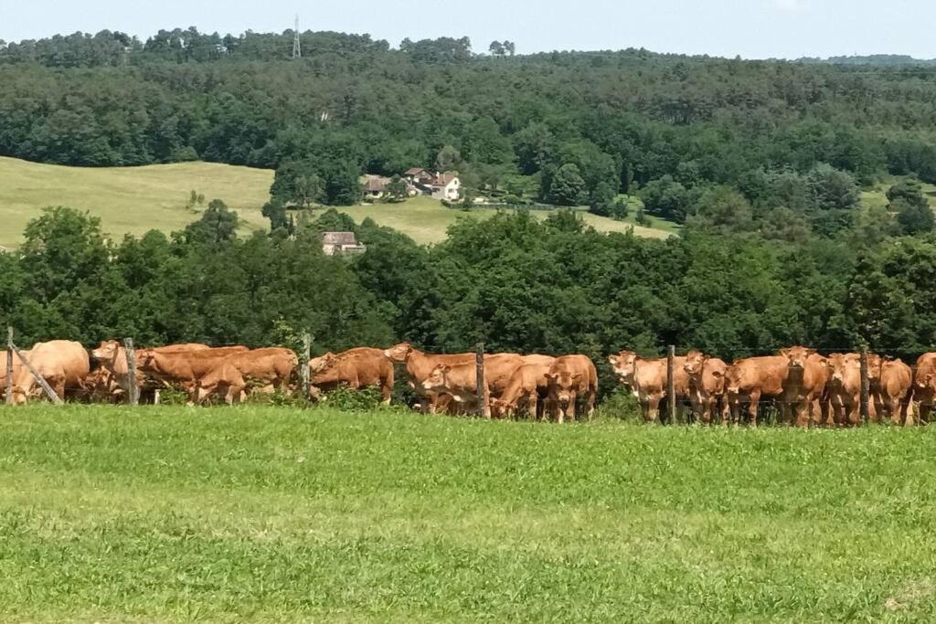 Gite Aux Vieux Bois Lunas  Buitenkant foto