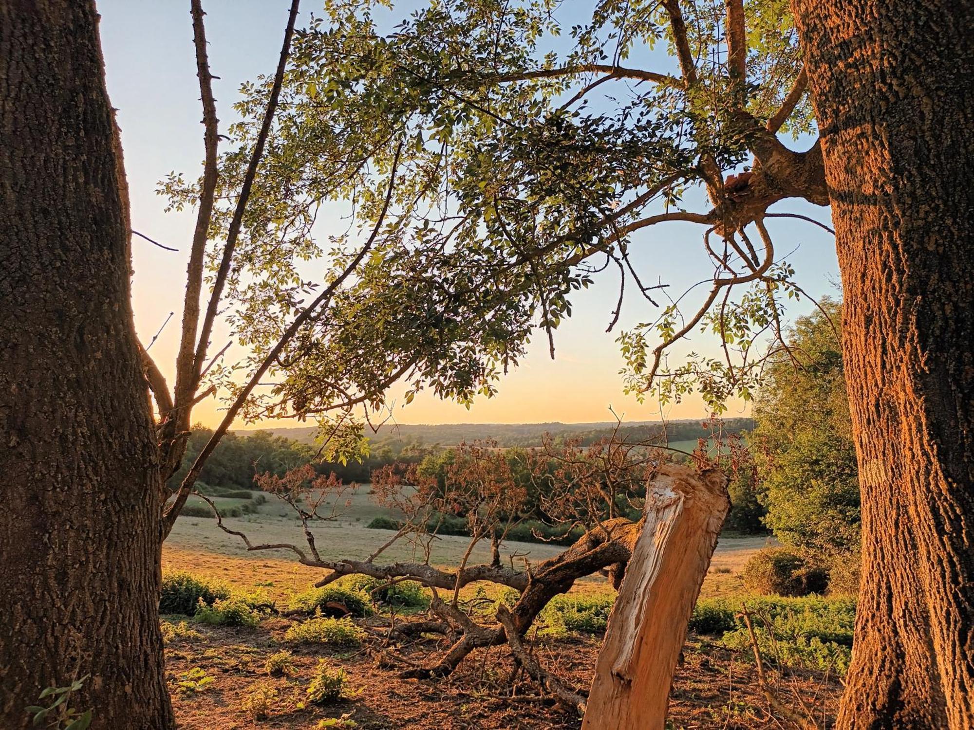 Gite Aux Vieux Bois Lunas  Buitenkant foto